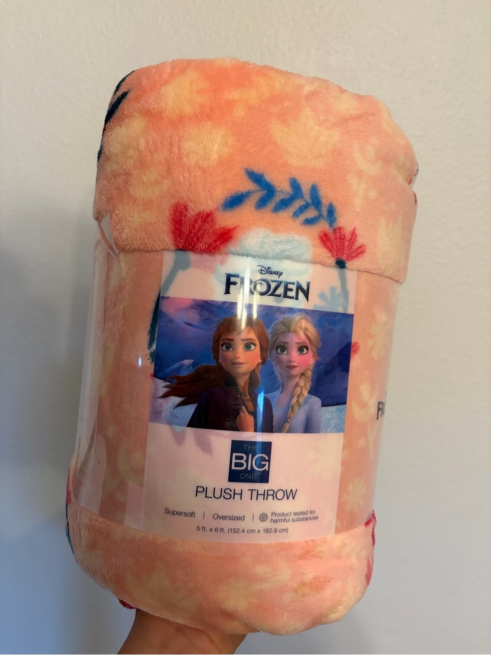 NEW Disney Frozen Anna Elsa Plush Throw Blanket 5x6 FT The Big One Pink Fleece